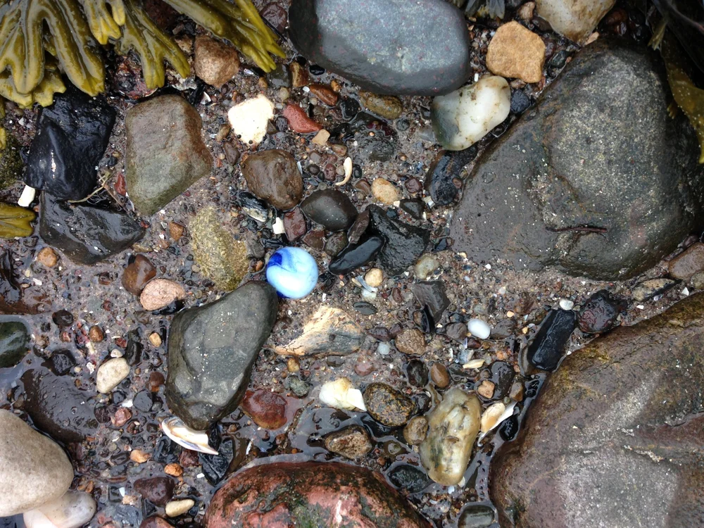 Beachcombing find: IMG 4940+