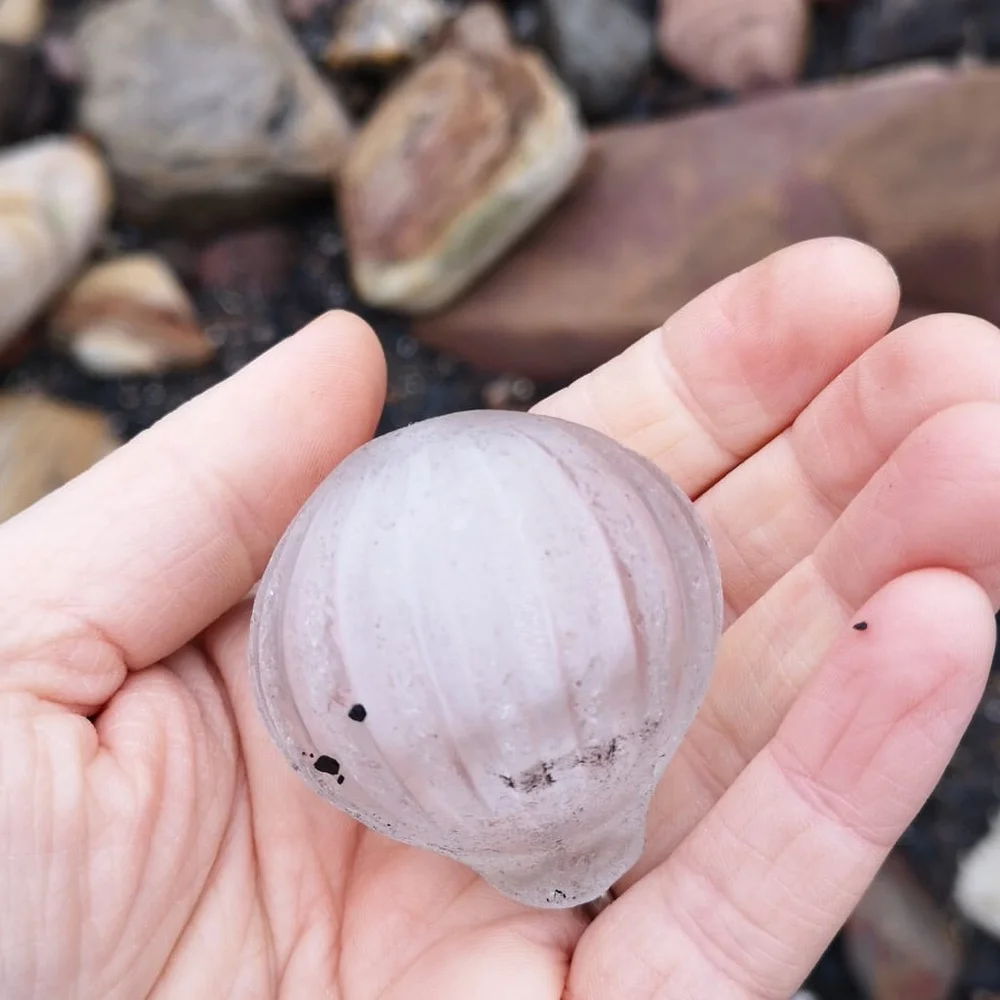 Beachcombing find: 48323964 2257475390938528 6975472646179782656 o