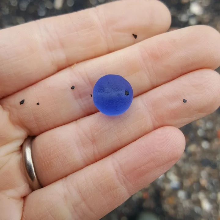 Beachcombing find: IMG 20170401 093154 989
