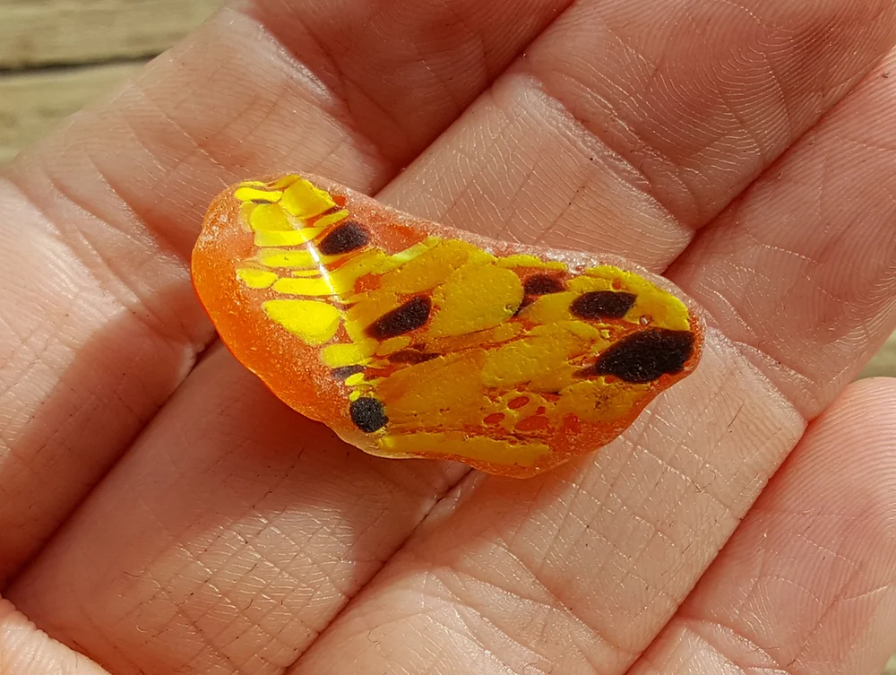 Beachcombing find: 6418 3