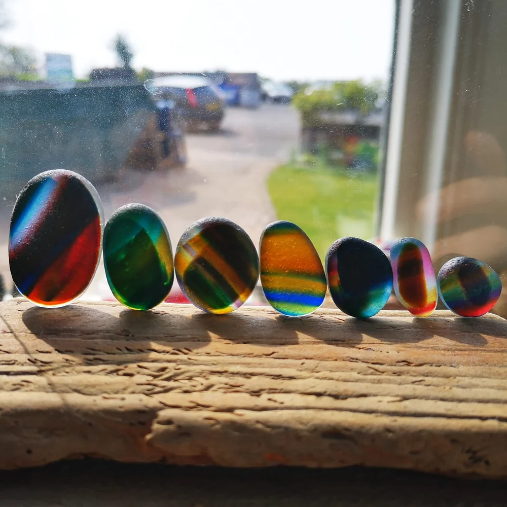 Beachcombing find: 58379229 2460099360676129 1349702019752919040 o