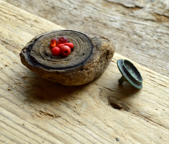 Beachcombing find: download