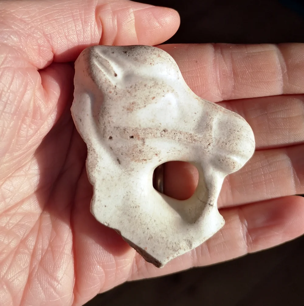 Beachcombing find: 8594 6