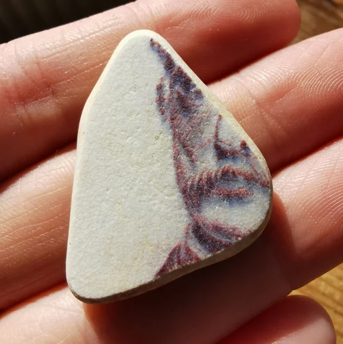 Beachcombing find: 10333 1
