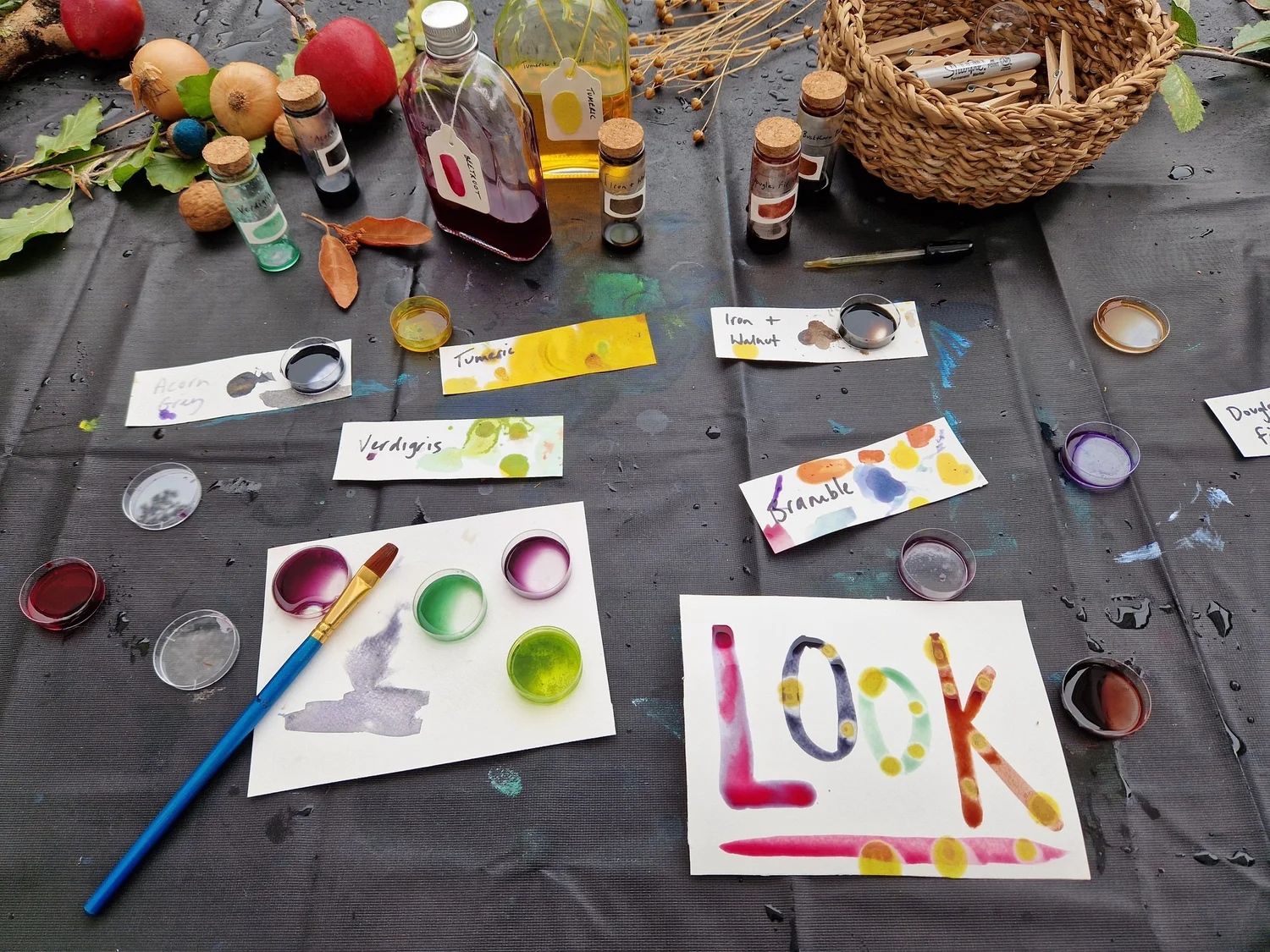 Botanical Inks - project photograph 1