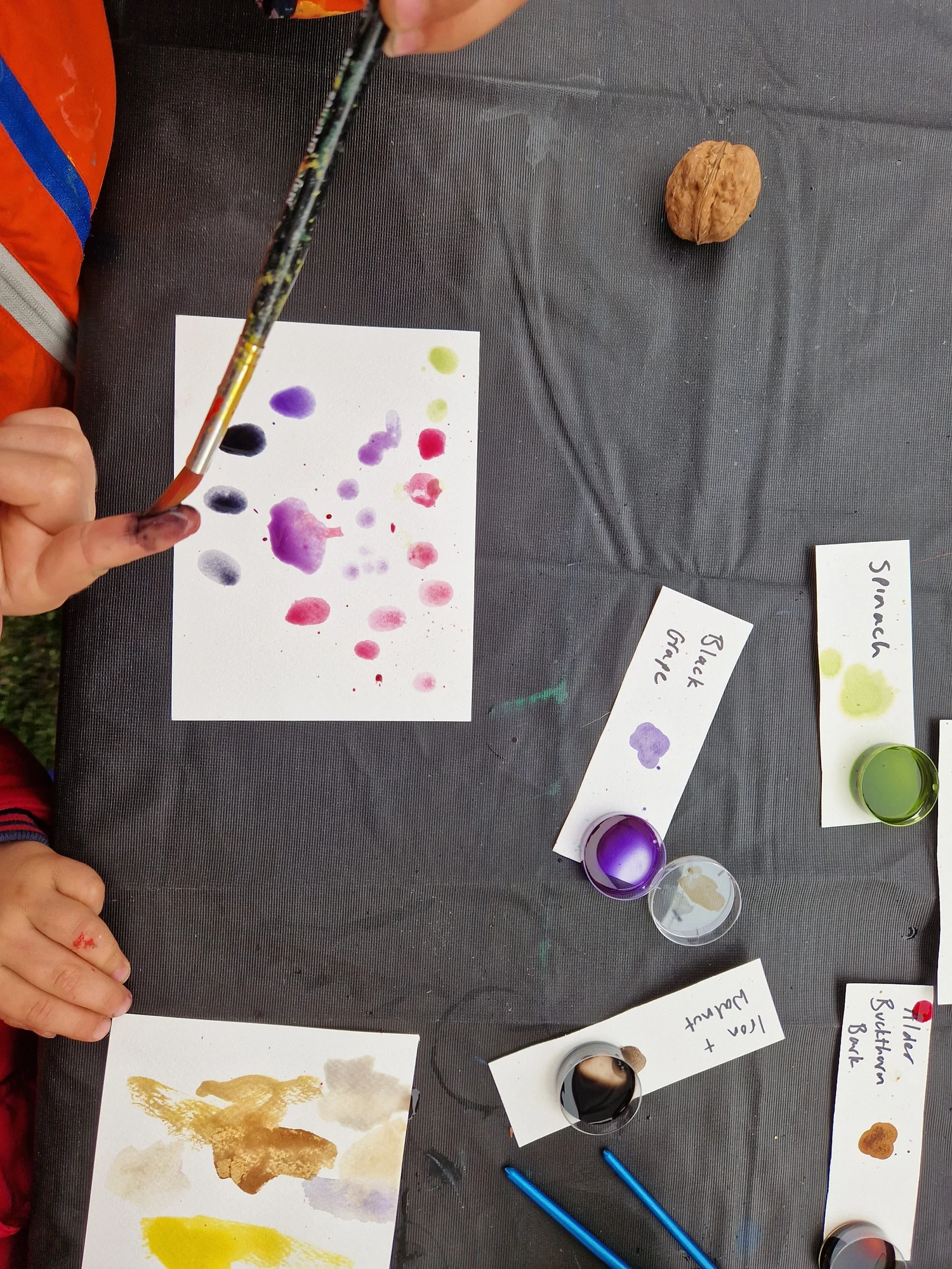 Botanical Inks - project photograph 21