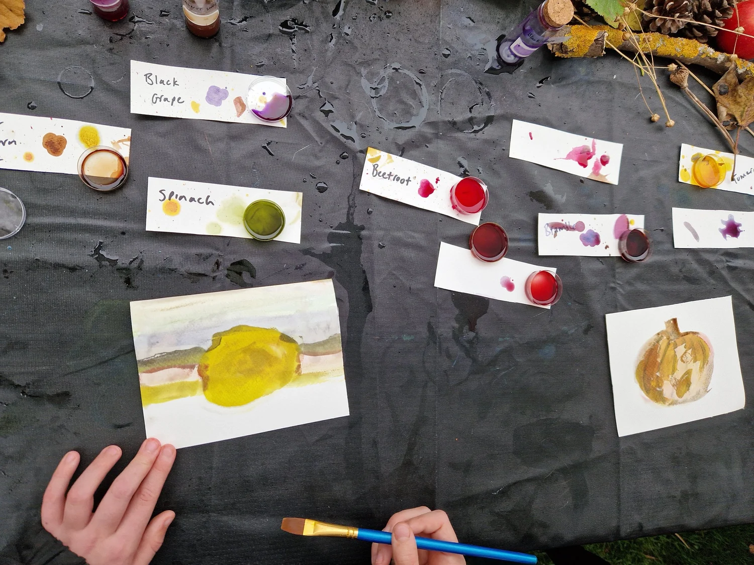 Botanical Inks - project photograph 30