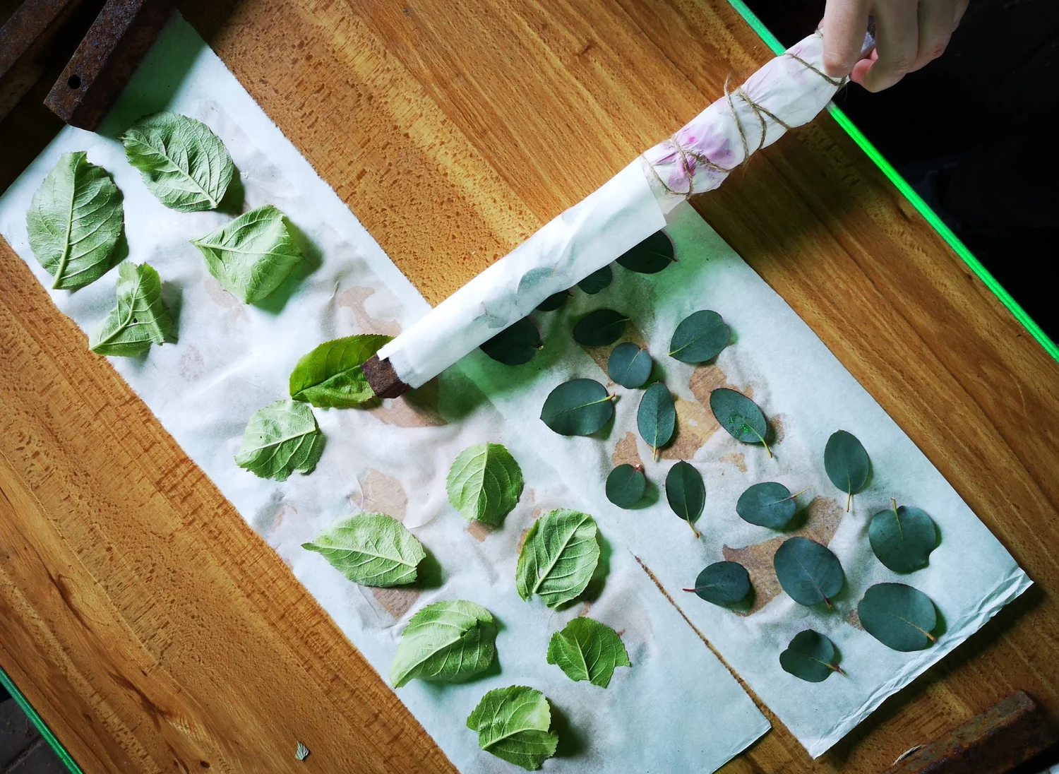Eco-printing: Riverscapes - project photograph 9