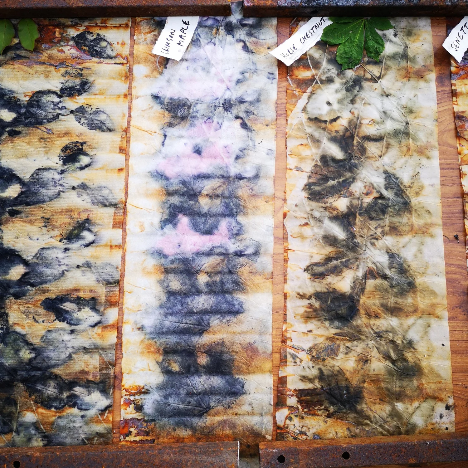 Eco-printing: Riverscapes - project photograph 13