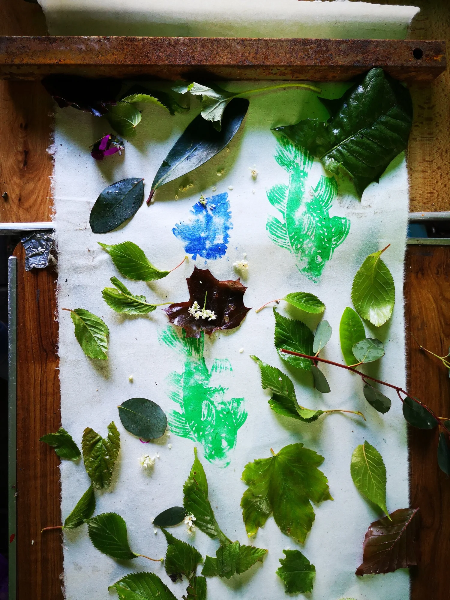 Eco-printing: Riverscapes - project photograph 35