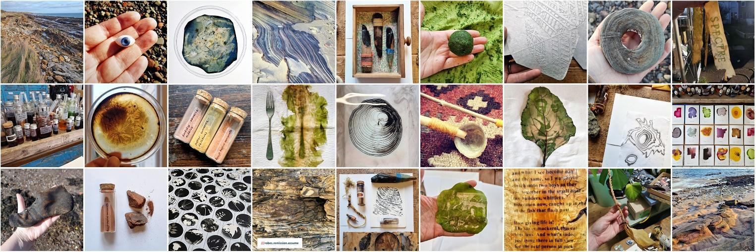 A collage of gathered materials, botanical colour studies and experimental prints
